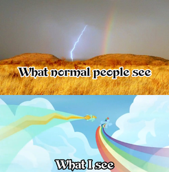 Size: 500x509 | Tagged: safe, edit, screencap, lightning dust, rainbow dash, pegasus, pony, g4, wonderbolts academy, image macro, irl, lightning, rainbow