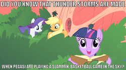 Size: 719x404 | Tagged: safe, applejack, rarity, twilight sparkle, g4, book, image macro