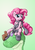 Size: 600x854 | Tagged: safe, artist:xnosidex, gummy, pinkie pie, g4, ayla, chrono trigger, clothes, crossover