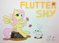 Size: 2244x1636 | Tagged: safe, artist:jet-ann, angel bunny, fluttershy, butterfly, g4, traditional art