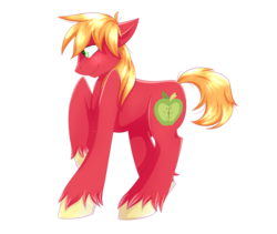 Size: 1024x866 | Tagged: safe, artist:astrequin, big macintosh, earth pony, pony, g4, male, simple background, solo, stallion, transparent background