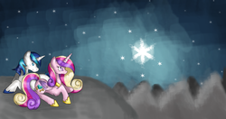 Size: 2494x1318 | Tagged: safe, artist:chiuuchiuu, princess cadance, shining armor, g4, night, stars