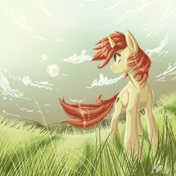 Size: 894x894 | Tagged: safe, artist:gonedreamer, oc, oc only, oc:amber drop, pony, unicorn, cloud, cloudy, grass, looking back, sky, smiling, solo, standing, windswept mane