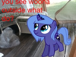 Size: 800x600 | Tagged: safe, princess luna, g4, bronybait, female, filly, solo, what do, woona