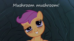 Size: 1063x593 | Tagged: safe, scootaloo, g4, sleepless in ponyville, badger badger badger, droopy, female, high, insane pony thread, mushroom, shrooms, solo, stoned, tired, tumblr
