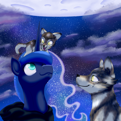 Size: 3000x3000 | Tagged: safe, artist:havikm66, princess luna, alicorn, pony, wolf, g4, clothes, hoodie, looking at each other, looking down, looking up, moon, night, night sky, smiling