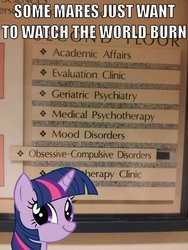 Size: 612x816 | Tagged: safe, twilight sparkle, g4, batman, image macro, irony, pure unfiltered evil, some mares just want to watch the world burn, some men just want to watch the world burn, twiface
