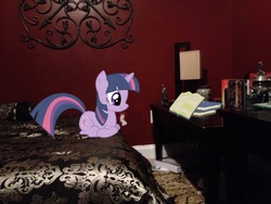 Size: 3264x2448 | Tagged: safe, artist:serindo, twilight sparkle, g4, bed, bedroom, book, cute, irl, photo, ponies in real life, reading, solo, table, vector
