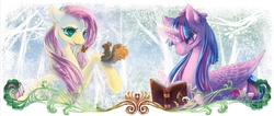 Size: 1572x668 | Tagged: safe, artist:tzulin520, fluttershy, twilight sparkle, alicorn, butterfly, pony, squirrel, g4, book, female, magic, mare, reading, twilight sparkle (alicorn)