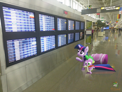 Size: 3264x2448 | Tagged: safe, artist:ojhat, spike, twilight sparkle, g4, airport, irl, photo, ponies in real life