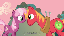 Size: 640x360 | Tagged: safe, screencap, big macintosh, cheerilee, earth pony, pony, g4, hearts and hooves day (episode), hearts and hooves day, male, meme, stallion, straight, youtube caption