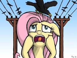 Size: 900x675 | Tagged: safe, artist:yorik-cz, fluttershy, crow, pegasus, pony, g4, alfred hitchcock, female, floppy ears, frown, open mouth, power line, screaming, solo, squishy cheeks, telephone lines, the birds, tongue out, wide eyes