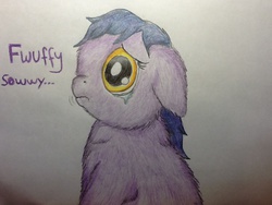 Size: 960x720 | Tagged: safe, artist:waggytail, fluffy pony, crying, fluffy pony original art, solo, sorry