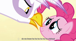 Size: 852x468 | Tagged: safe, screencap, gilda, pinkie pie, griffon, g4, griffon the brush off, meme, youtube caption