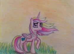 Size: 1469x1064 | Tagged: safe, artist:sweetiebelle44, princess cadance, g4, female, field, solo, traditional art, windswept mane
