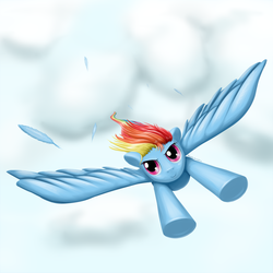 Size: 2500x2500 | Tagged: safe, artist:renatethepony, rainbow dash, g4, cloud, cloudy, feather, female, flying, renatethepony, solo, speedpaint