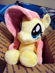 Size: 972x1296 | Tagged: artist needed, safe, fluttershy, g4, irl, photo, plushie
