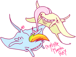 Size: 500x380 | Tagged: safe, artist:stevetwisp, fluttershy, rainbow dash, manta ray, g4, my little x, species swap