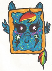 Size: 974x1328 | Tagged: safe, artist:krazykari, rainbow dash, g4, cute, female, food, poptart, solo, traditional art