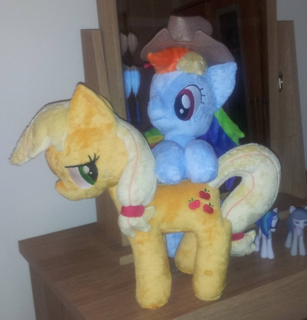 396961 Safe Artistpinkamoone Applejack Rainbow Dash Irl Photo Plushie Derpibooru 8117