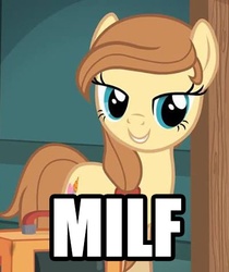 Size: 403x480 | Tagged: safe, oc, oc only, oc:cream heart, earth pony, pony, button's adventures, g4, cutie mark, female, hooves, image macro, looking at you, mare, milf, smiling, solo, teeth, text