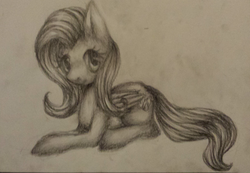 Size: 600x415 | Tagged: safe, artist:aschenstern, fluttershy, g4, female, monochrome, solo, traditional art