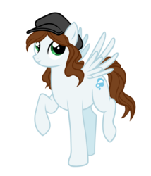 Size: 828x966 | Tagged: safe, artist:wtfakakali, oc, oc only, pegasus, pony, hat, solo