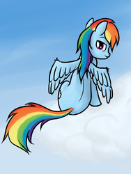 Size: 720x960 | Tagged: safe, artist:sharpy, rainbow dash, pegasus, pony, g4, back, female, mare, solo