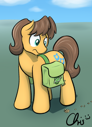 Size: 910x1260 | Tagged: safe, artist:nekocrispy, caramel, earth pony, pony, bronycon, g4, male, solo, stallion