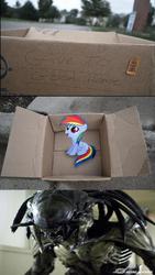 Size: 836x1487 | Tagged: safe, rainbow dash, pegasus, pony, xenomorph, fanfic:my little dashie, g4, aliens vs. predator, dashie meme, evil people finding dash meme, exploitable meme, meme, predalien