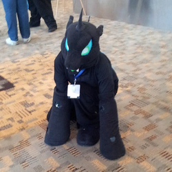 Size: 612x612 | Tagged: safe, changeling, human, cosplay, fursuit, irl, irl human, photo