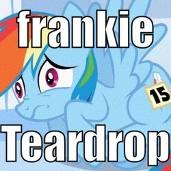 Size: 354x354 | Tagged: safe, rainbow dash, g4, frankie teardrop, image macro, lyrics, nightmare fuel