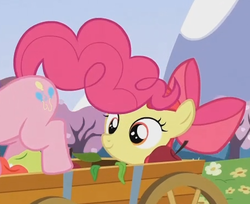 Size: 458x374 | Tagged: safe, screencap, apple bloom, pinkie pie, earth pony, pony, g4, too many pinkie pies, apple, cropped, eyes on the prize, food, looking at butt, out of context