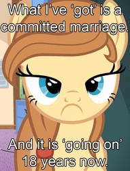 Size: 663x869 | Tagged: safe, oc, oc only, oc:cream heart, earth pony, pony, g4, bronybait, button's mom has got it going on, female, grumpy, image macro, inverted mouth, looking at you, mare, marriage, meme, solo, text