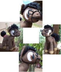 Size: 936x1110 | Tagged: artist needed, safe, earth pony, pony, achievement hunter, crossover, glasses, irl, multiple views, outdoors, photo, plushie, ponified, ray narvaez jr