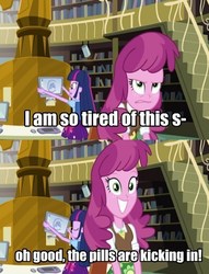 Size: 450x588 | Tagged: safe, cheerilee, twilight sparkle, equestria girls, g4, cheerilee is not amused, image macro, irrational exuberance