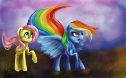 Size: 1024x630 | Tagged: safe, artist:vasilisavishnevskaya, fluttershy, rainbow dash, g4