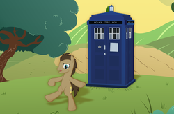 Size: 6000x3964 | Tagged: safe, artist:spectty, doctor whooves, time turner, earth pony, pony, g4, bipedal, doctor who, implied regeneration, male, regeneration, solo, stallion, tardis, the doctor, walking