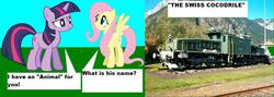 Size: 1360x483 | Tagged: safe, fluttershy, twilight sparkle, g4, locomotive, switzerland, train