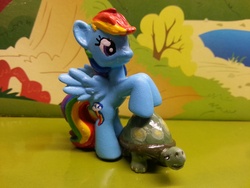 Size: 3264x2448 | Tagged: safe, artist:balthazar147, rainbow dash, tank, g4, customized toy