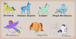 Size: 1024x524 | Tagged: safe, artist:akril15, oc, oc only, unnamed oc, alicorn, bicorn, hybrid, merpony, original species, pegasus, sea pony, twinkle eyed pony, g1, 2013, camphur, duck feet, ethiopian pegasus, female, flying, horn, leg wings, mare, multiple horns, partially open wings, prancing, priassopi, raised hoof, simple background, sitting, standing, sweetheart sister ponies, tan background, trotting, twice as fancy ponies, wings, wings down