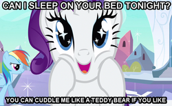 Size: 640x396 | Tagged: safe, rainbow dash, rarity, g4, bronybait, image macro, imma snuggle you