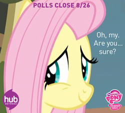 Size: 530x480 | Tagged: safe, fluttershy, g4, best pony contest, female, hub logo, hubble, poll, solo, the hub