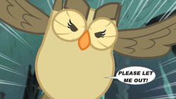 Size: 1024x576 | Tagged: safe, artist:voreediter, edit, owlowiscious, spike, bird, owl, g4, eaten alive, predation, speech bubble, spikeprey, vore