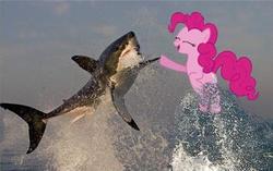 Size: 500x313 | Tagged: safe, pinkie pie, earth pony, fish, great white shark, pony, shark, g4, animal, duo, eyes closed, female, high five, mare, wayer