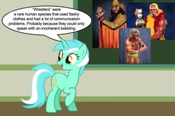 Size: 887x588 | Tagged: safe, lyra heartstrings, g4, chalkboard, hulk hogan, human studies101 with lyra, macho man randy savage, meme, randy savage, the ultimate warrior