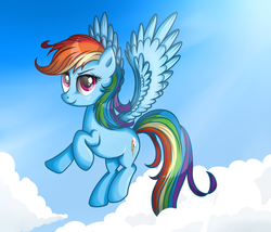 Size: 3000x2571 | Tagged: safe, artist:vird-gi, rainbow dash, g4, cloud, female, flying, sky, solo