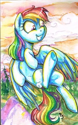 Size: 2016x3237 | Tagged: safe, artist:buttercupsaiyan, rainbow dash, pegasus, pony, g4, female, flying, mare, smiling, solo, underhoof