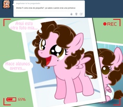 Size: 1236x1073 | Tagged: safe, artist:shinta-girl, oc, oc only, oc:shinta pony, ask, spanish, translated in the description, tumblr