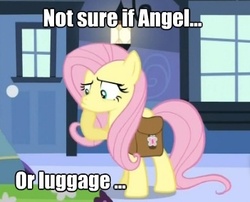 Size: 351x284 | Tagged: safe, screencap, fluttershy, g4, female, solo